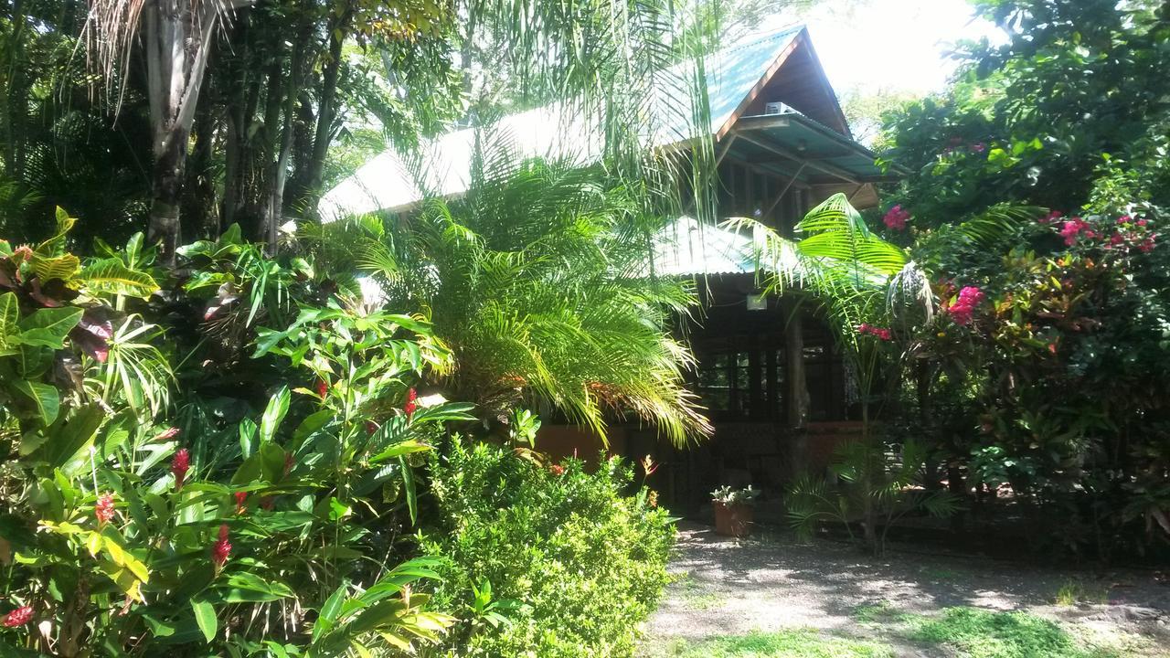 Casa Mymy Hostel Playa Negra Buitenkant foto