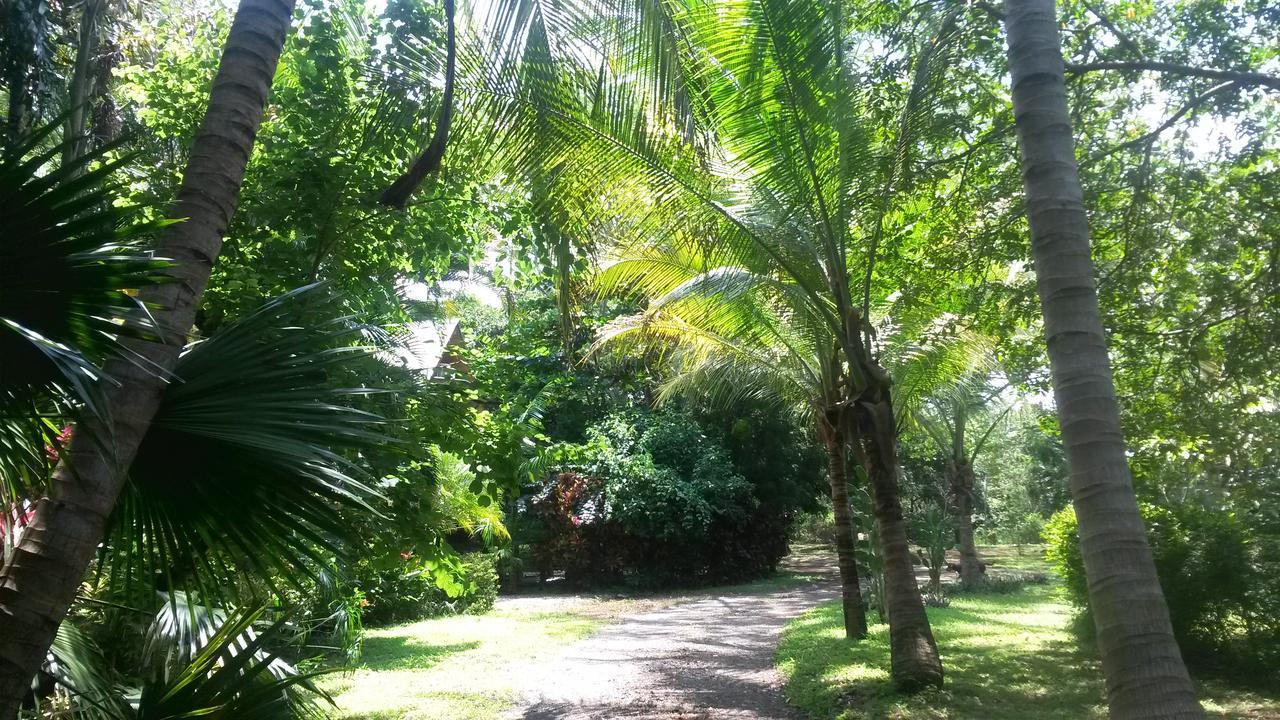 Casa Mymy Hostel Playa Negra Buitenkant foto